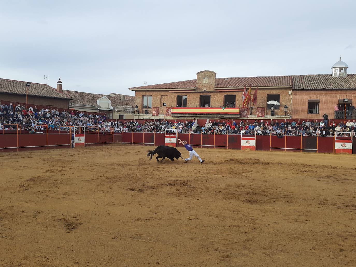 Fotos: Concurso de cortes Villa de Mayorga