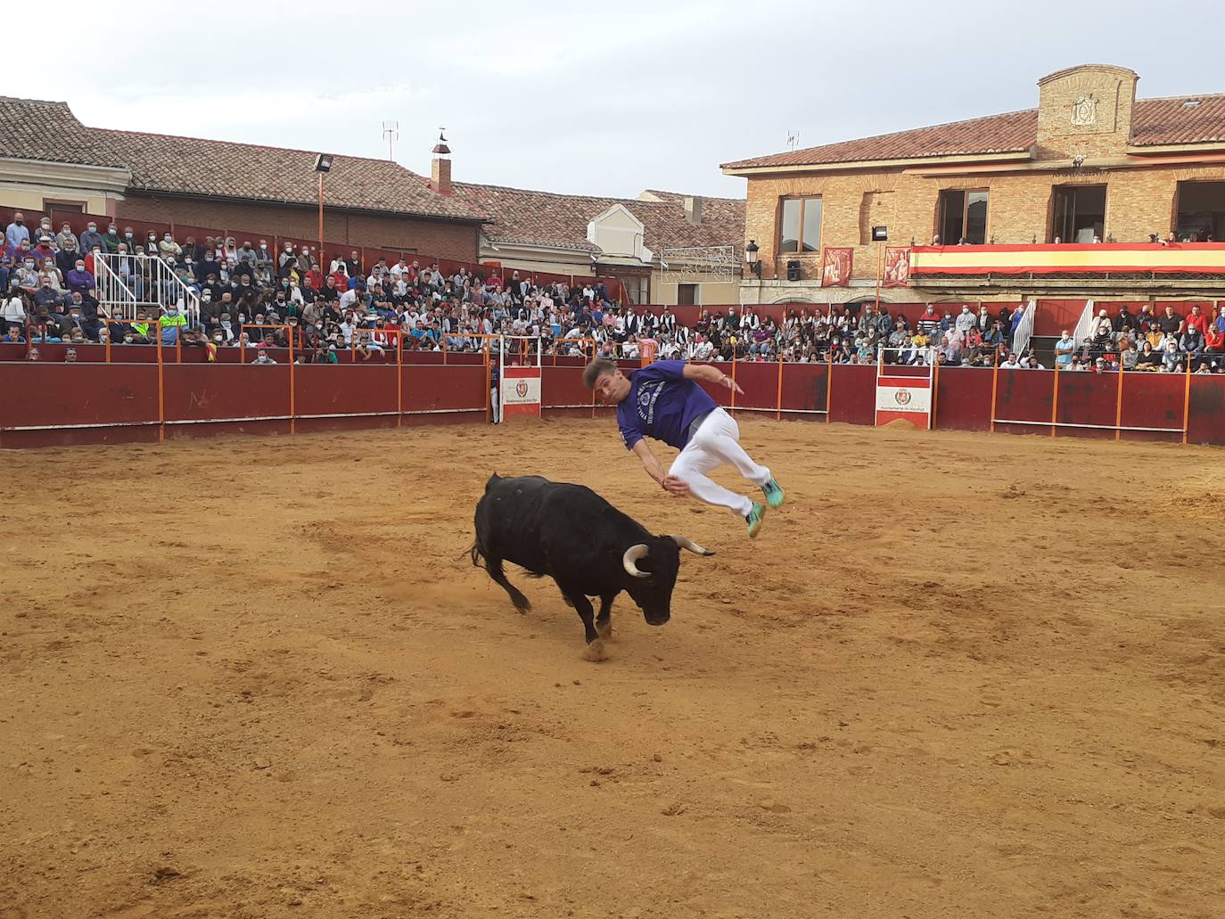 Fotos: Concurso de cortes Villa de Mayorga