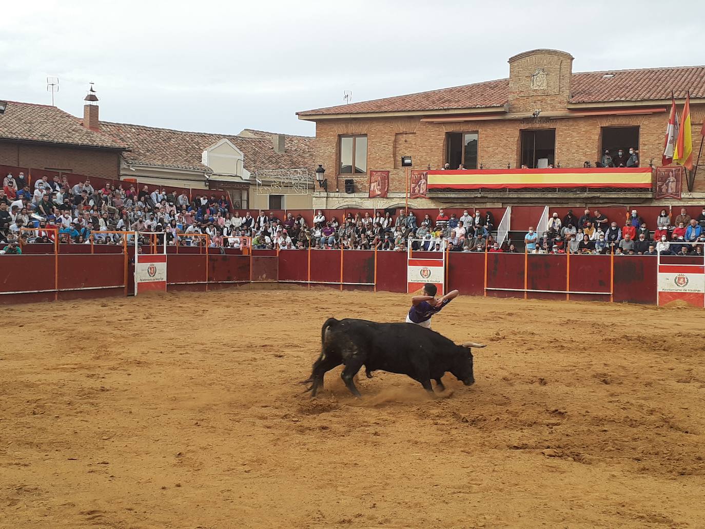 Fotos: Concurso de cortes Villa de Mayorga