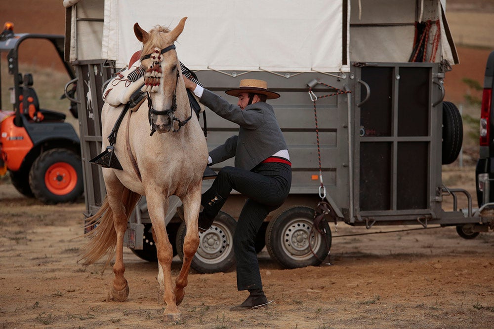 Flamenco entre caballos para ambientar la V Feria Agroalimentaria de Galinduste