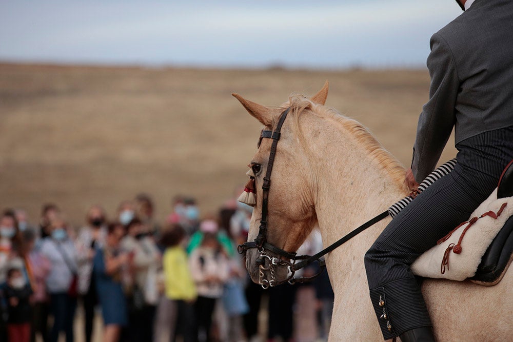 Flamenco entre caballos para ambientar la V Feria Agroalimentaria de Galinduste