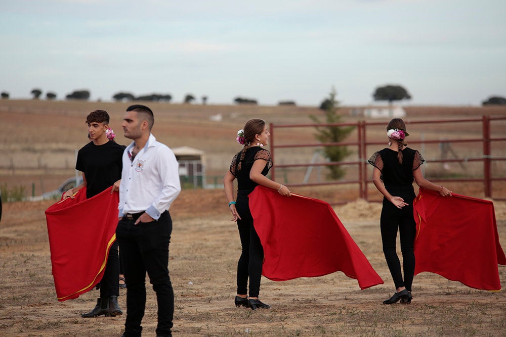 Flamenco entre caballos para ambientar la V Feria Agroalimentaria de Galinduste