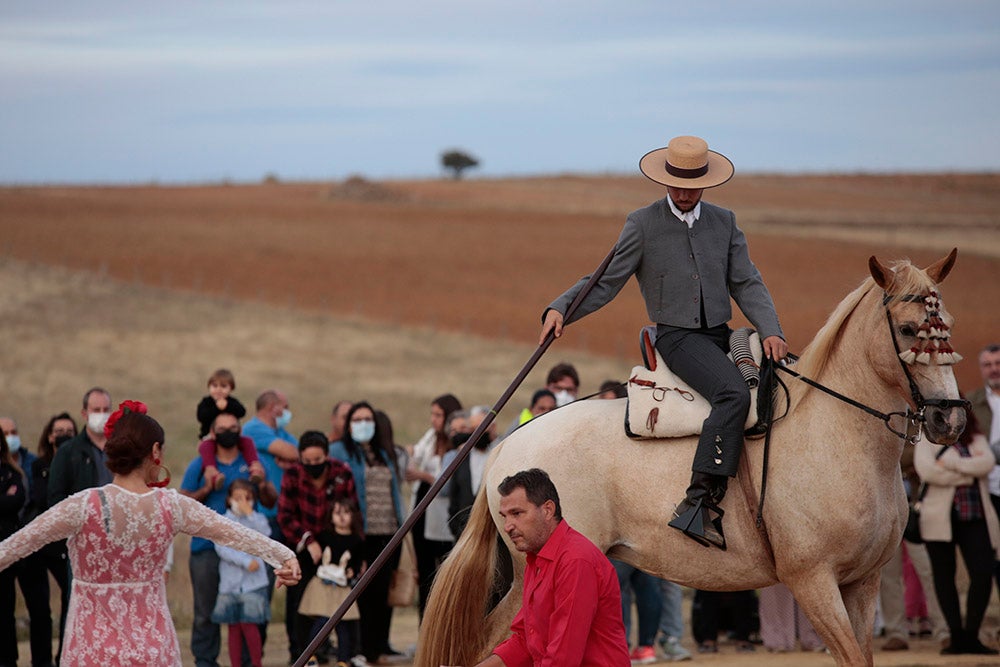 Flamenco entre caballos para ambientar la V Feria Agroalimentaria de Galinduste