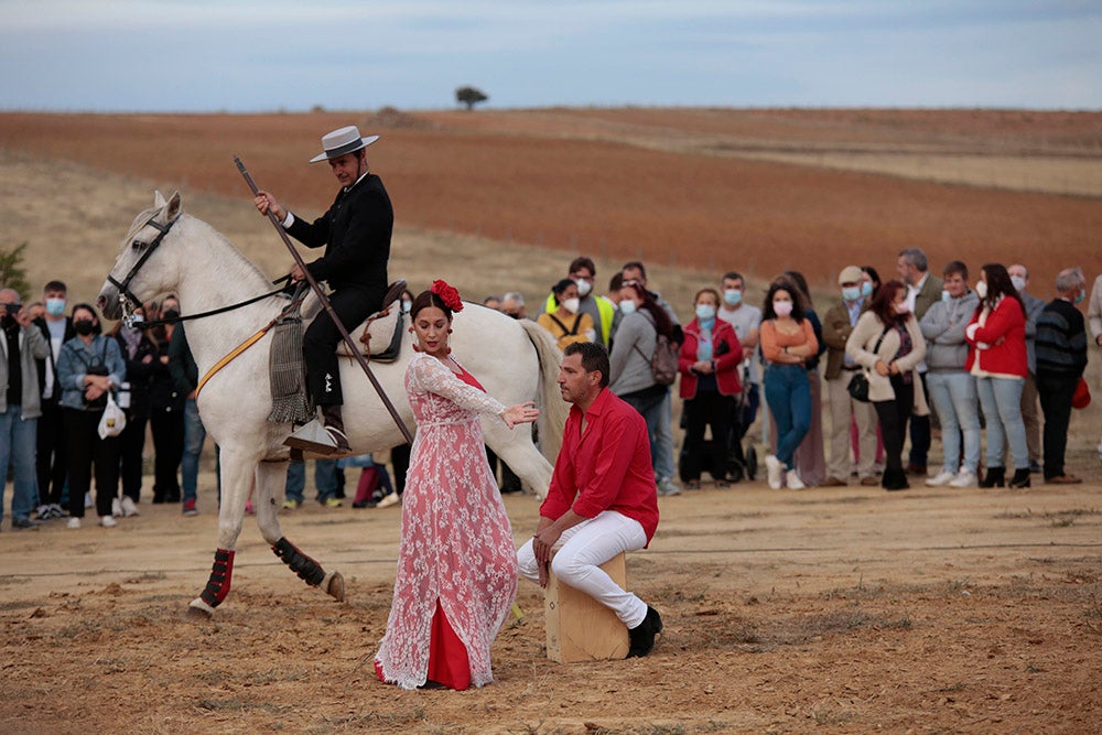 Flamenco entre caballos para ambientar la V Feria Agroalimentaria de Galinduste