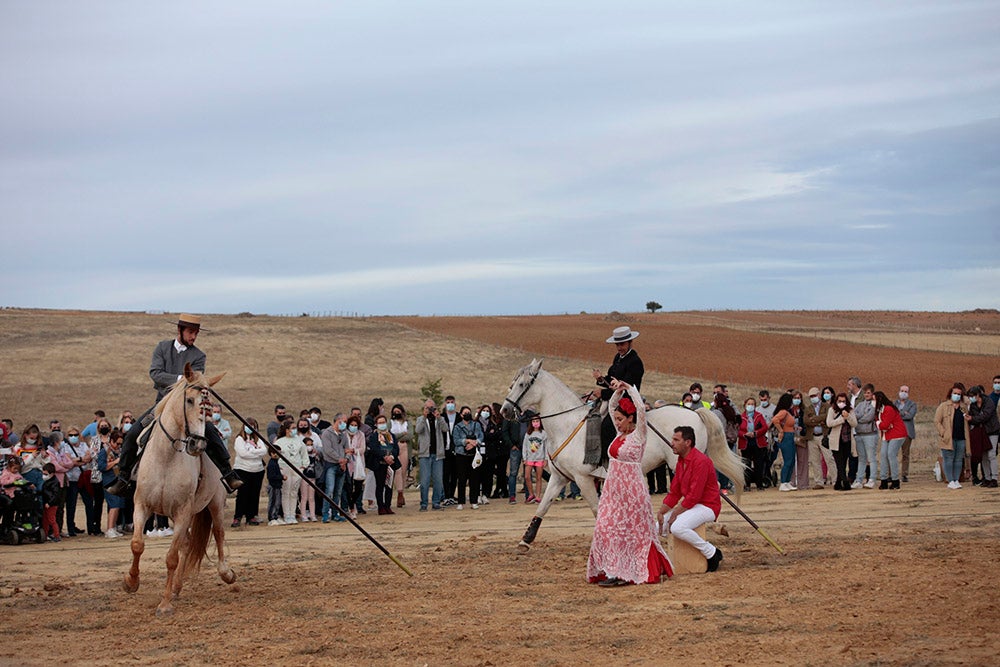 Flamenco entre caballos para ambientar la V Feria Agroalimentaria de Galinduste