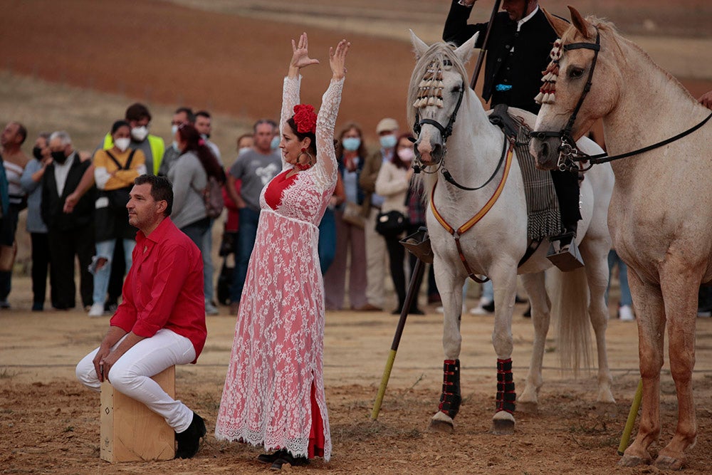 Flamenco entre caballos para ambientar la V Feria Agroalimentaria de Galinduste