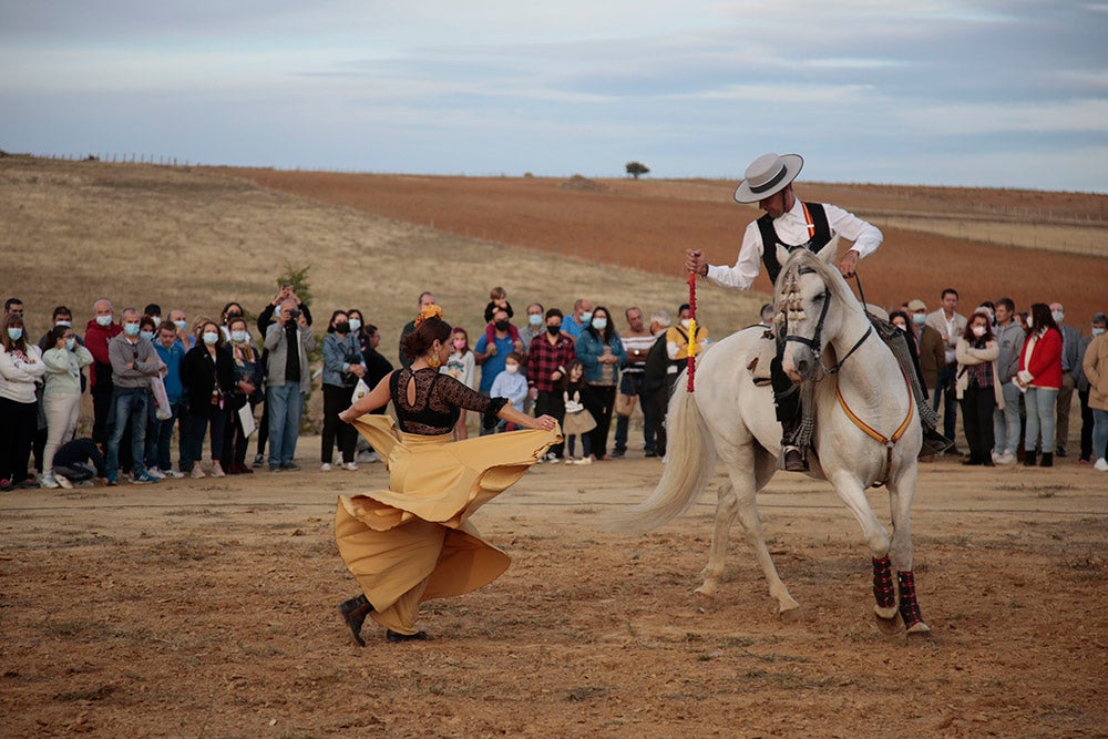 Flamenco entre caballos para ambientar la V Feria Agroalimentaria de Galinduste