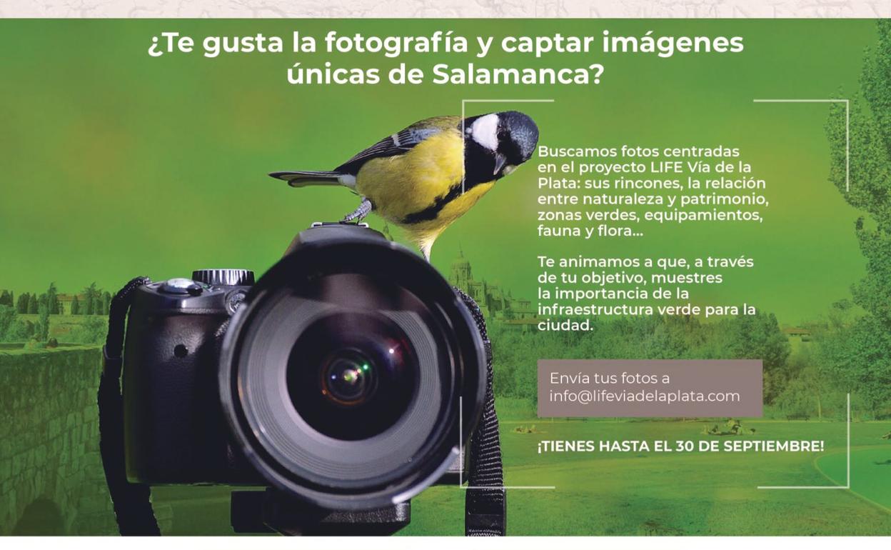 Cartel informativo del concurso de fotografía 'Life Vía de la Plata Savia Salamanca'. 