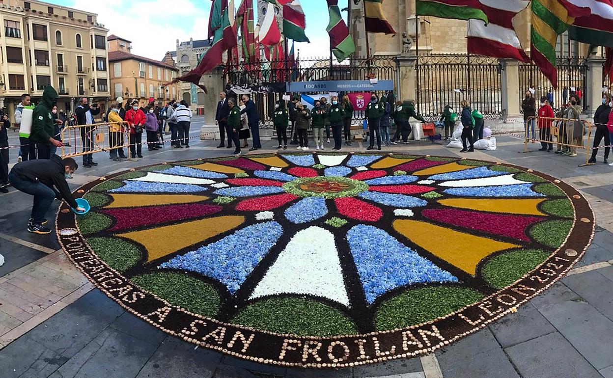 La alfombra instalada. 