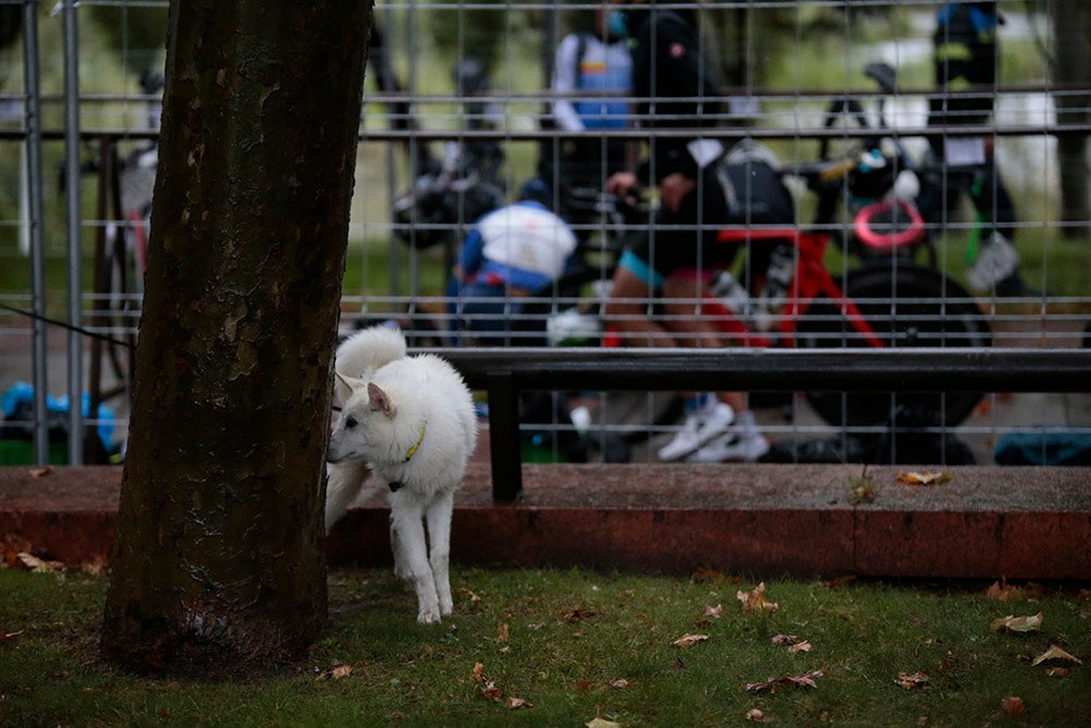 El salmantino Javier Risco se impuso en la distancia olímpica junto a Ana Caleya en una prueba marcada por la lluvia en las primeras horas de la cita deportiva