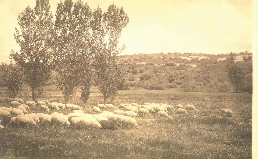 Sangre y horror en Padilla de Duero