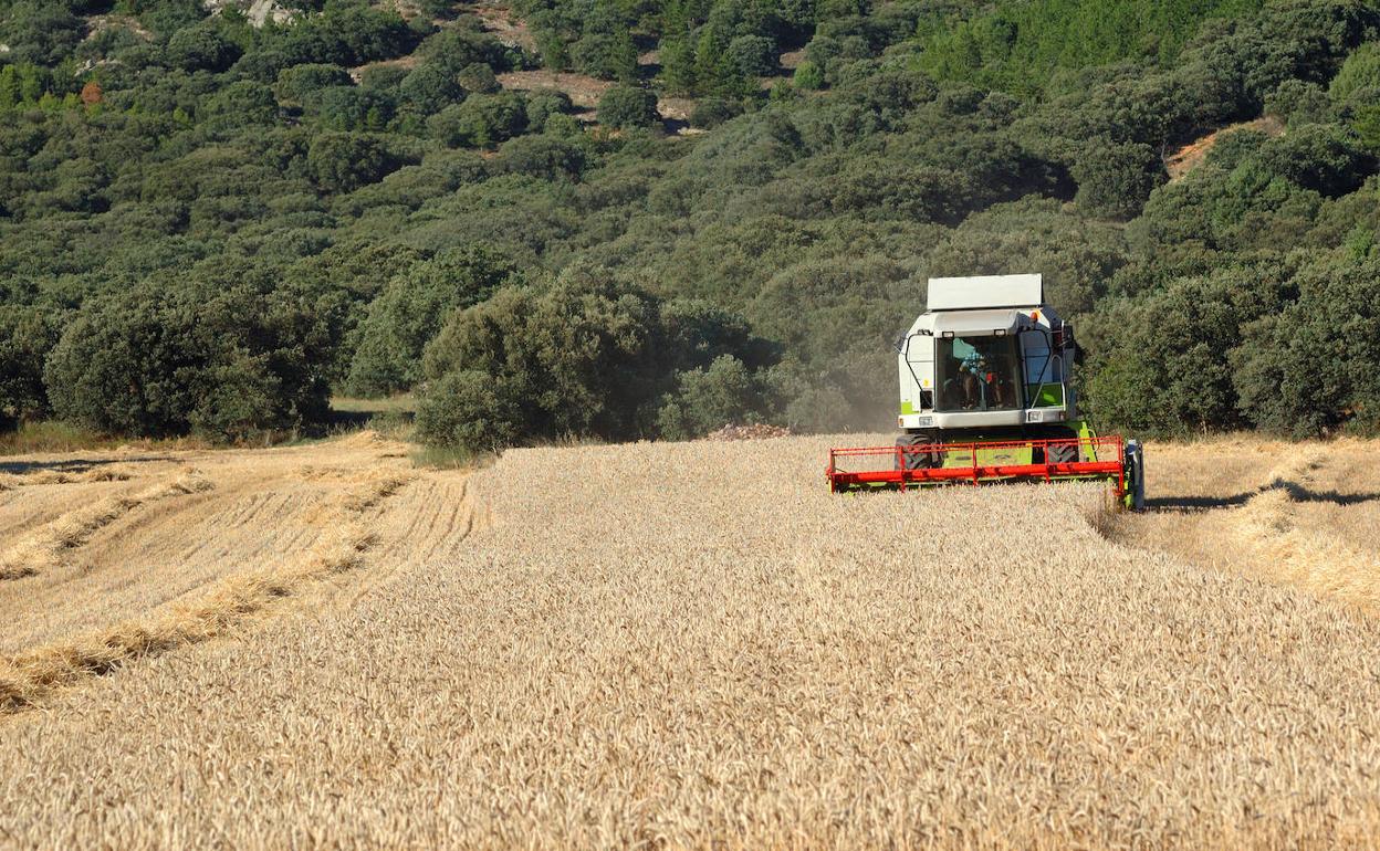 Explotación agrícola.