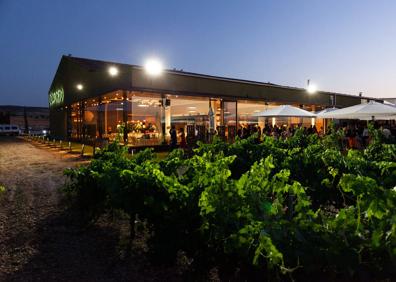Imagen secundaria 1 - Castillo de Fuensaldaña y Bodegas Concejo, en Valoria la Buena. 
