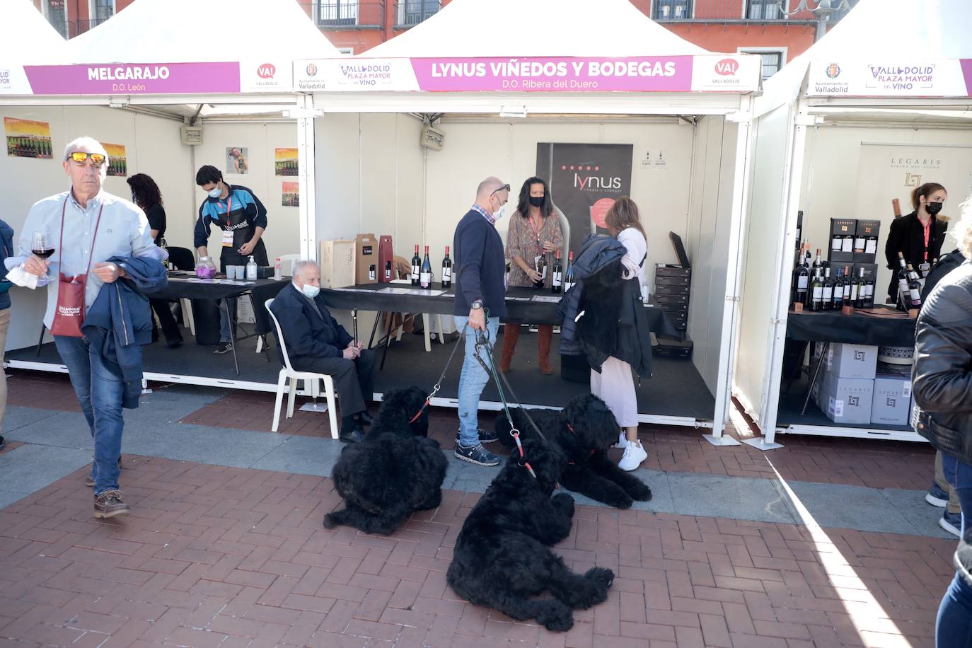 Fotos: Ambientazo durante la jornada del domingo en el evento &#039;Valladolid. Plaza Mayor del Vino&#039;