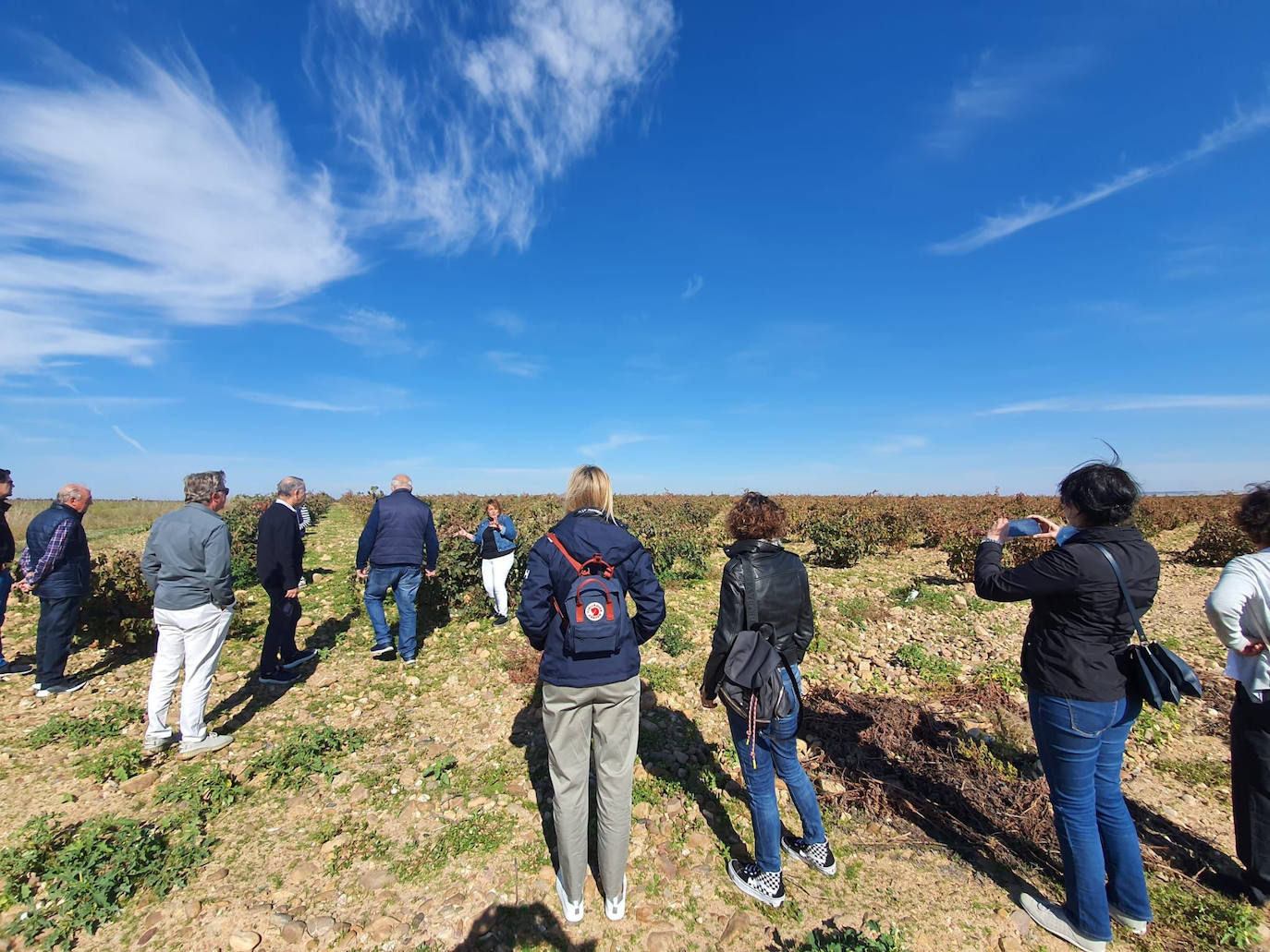 Fotos: Visita guiada a viñedos de Toro en el contexto del evento &#039;Valladolid. Plaza Mayor del vino&#039;