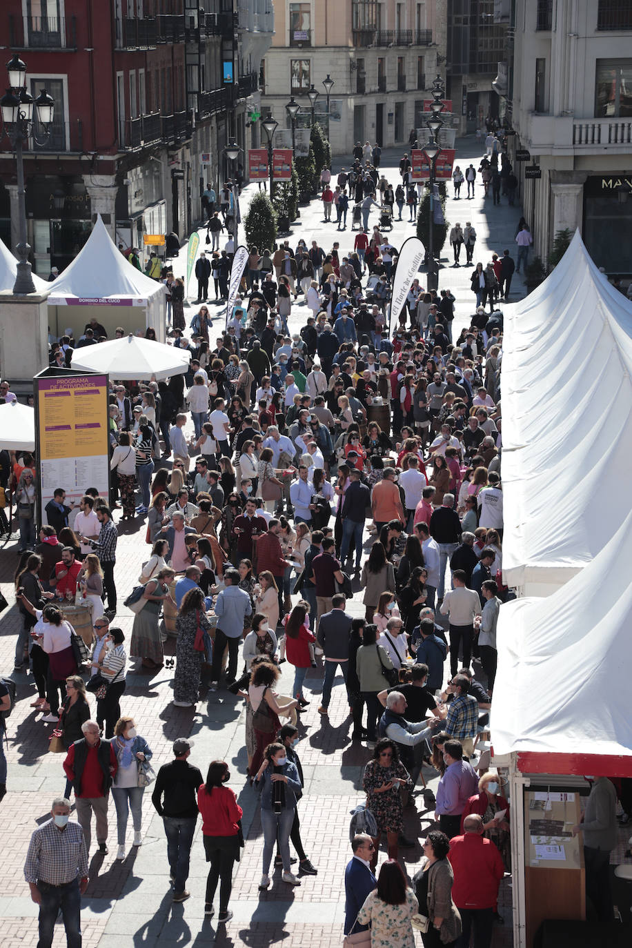 Última jornada de 'Valladolid. Plaza Mayor del Vino'.
