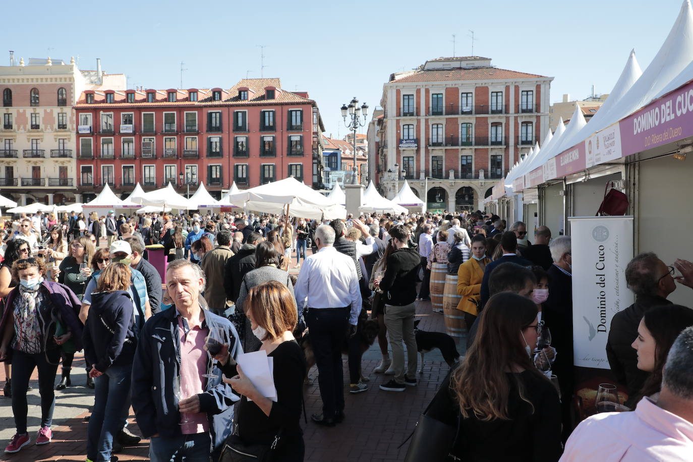 Última jornada de 'Valladolid. Plaza Mayor del Vino'.
