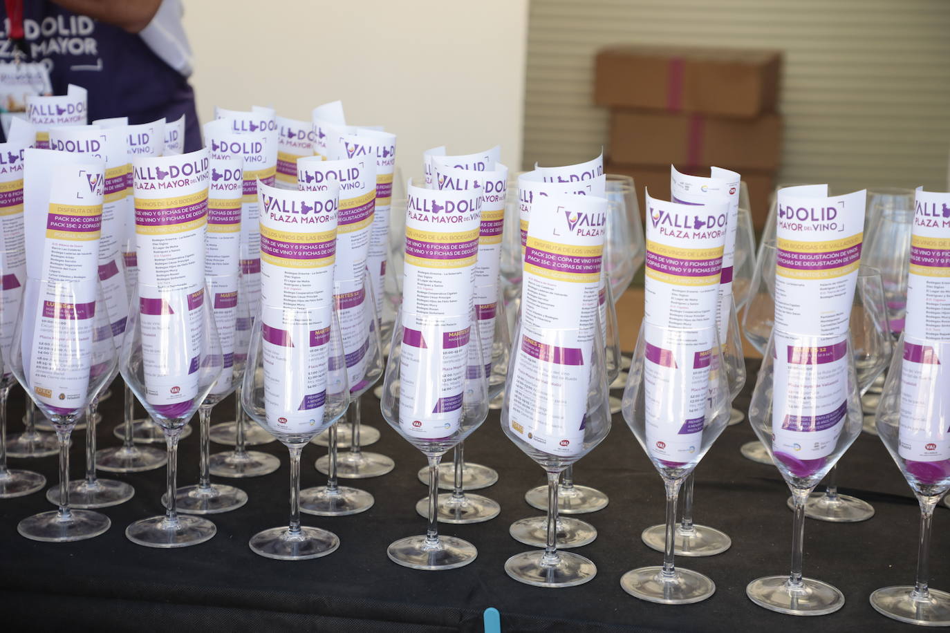 Última jornada de 'Valladolid. Plaza Mayor del Vino'.