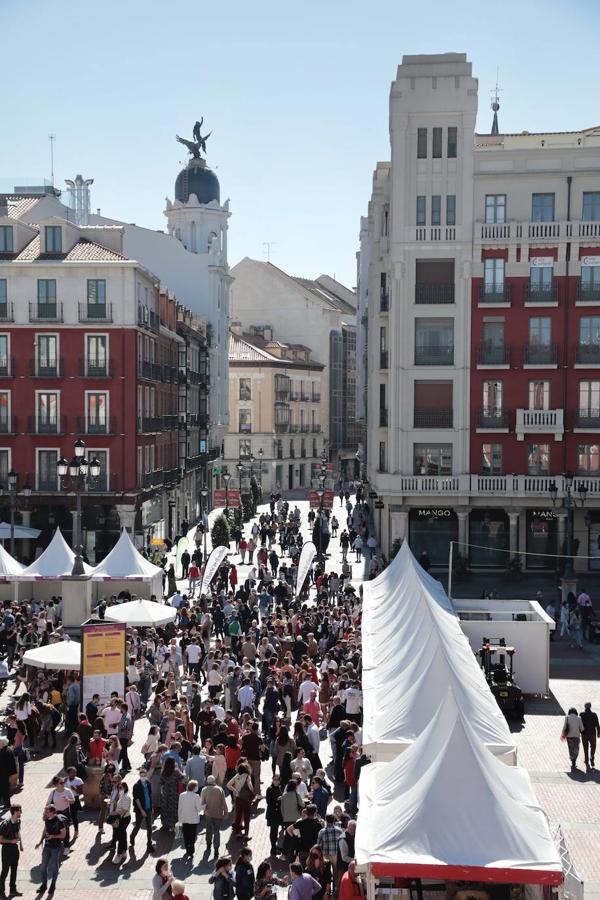 Última jornada de 'Valladolid. Plaza Mayor del Vino'.