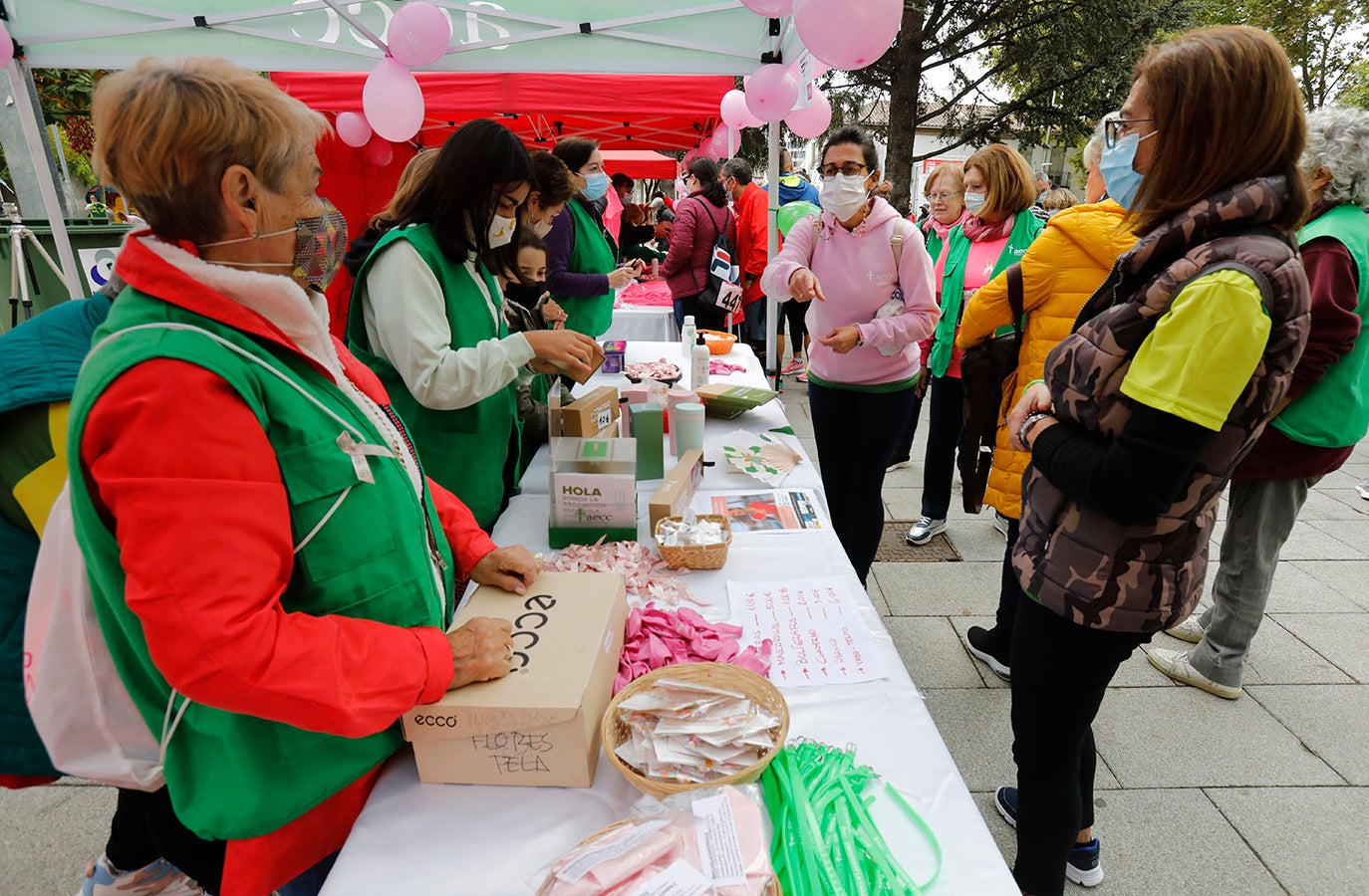 IX Marcha contra el cáncer en Palencia.