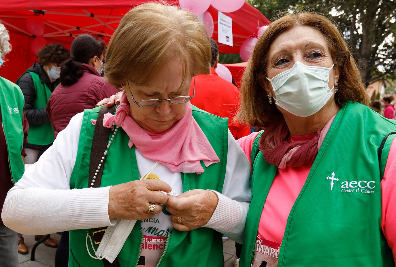 IX Marcha contra el cáncer en Palencia.