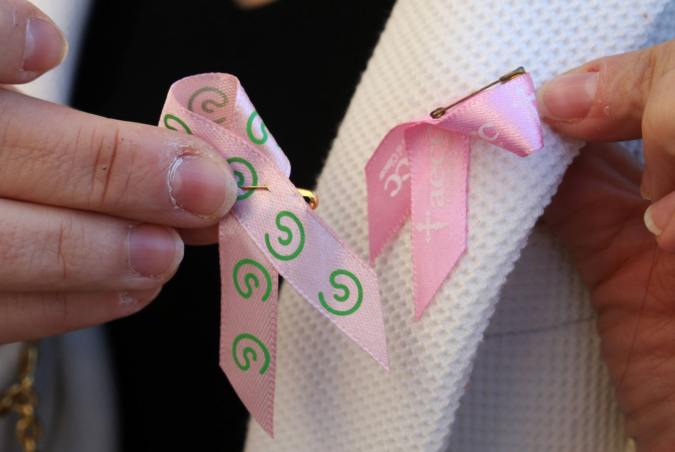 Día del cáncer de mama en Segovia 