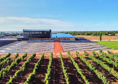Imagen secundaria 1 - Imágines exteriores de Bodegas Bela.