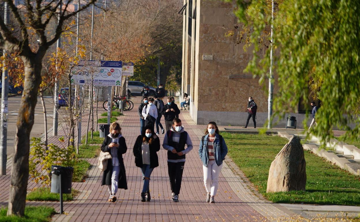 Varios estudiantes pasean por el Campus de Unamuno. 