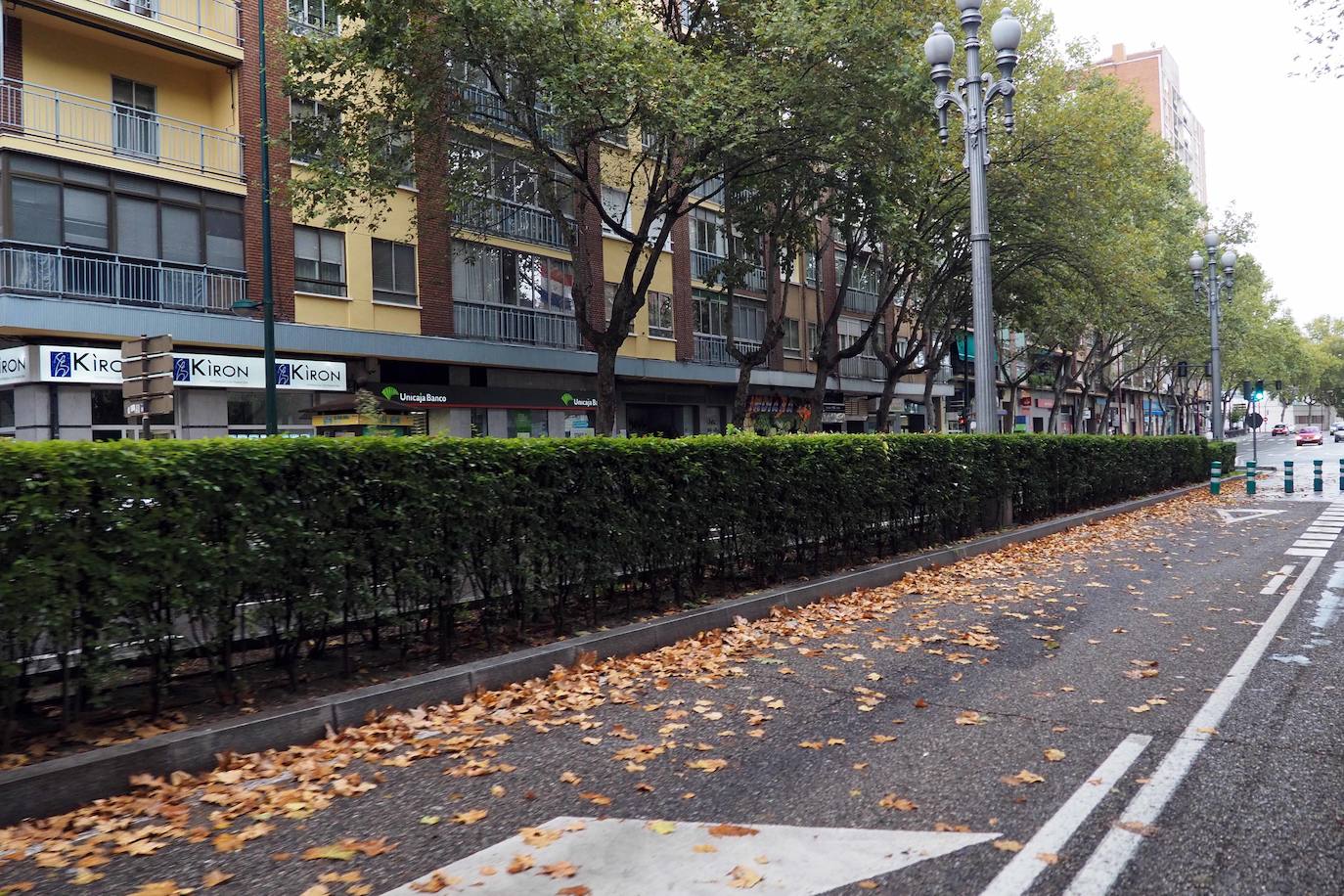 Detalles de una de las principales arterias de la ciudad 