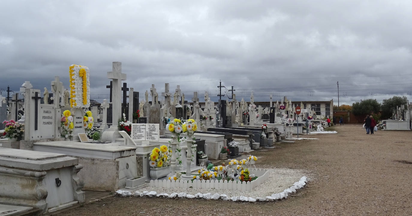 Fotos: Víspera del día de Todos los Santos en el cementerio de El Carmen de Valladolid