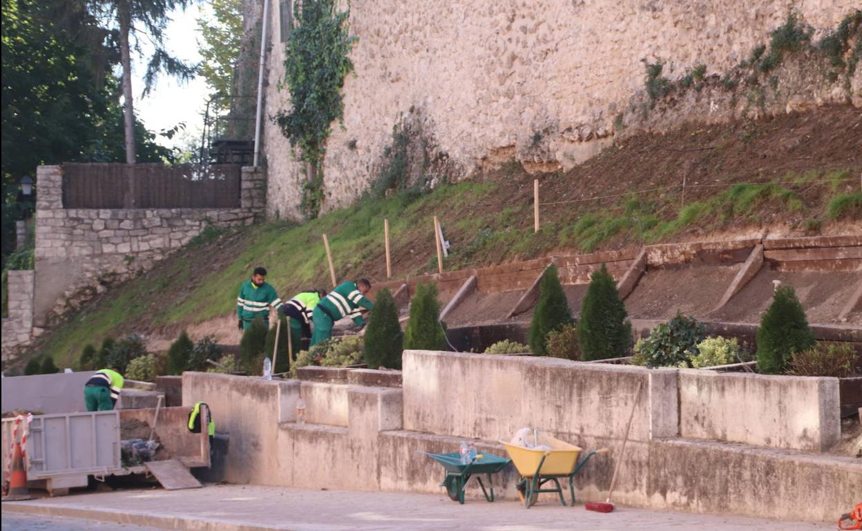 Varios operarios trabajan en el talud. 