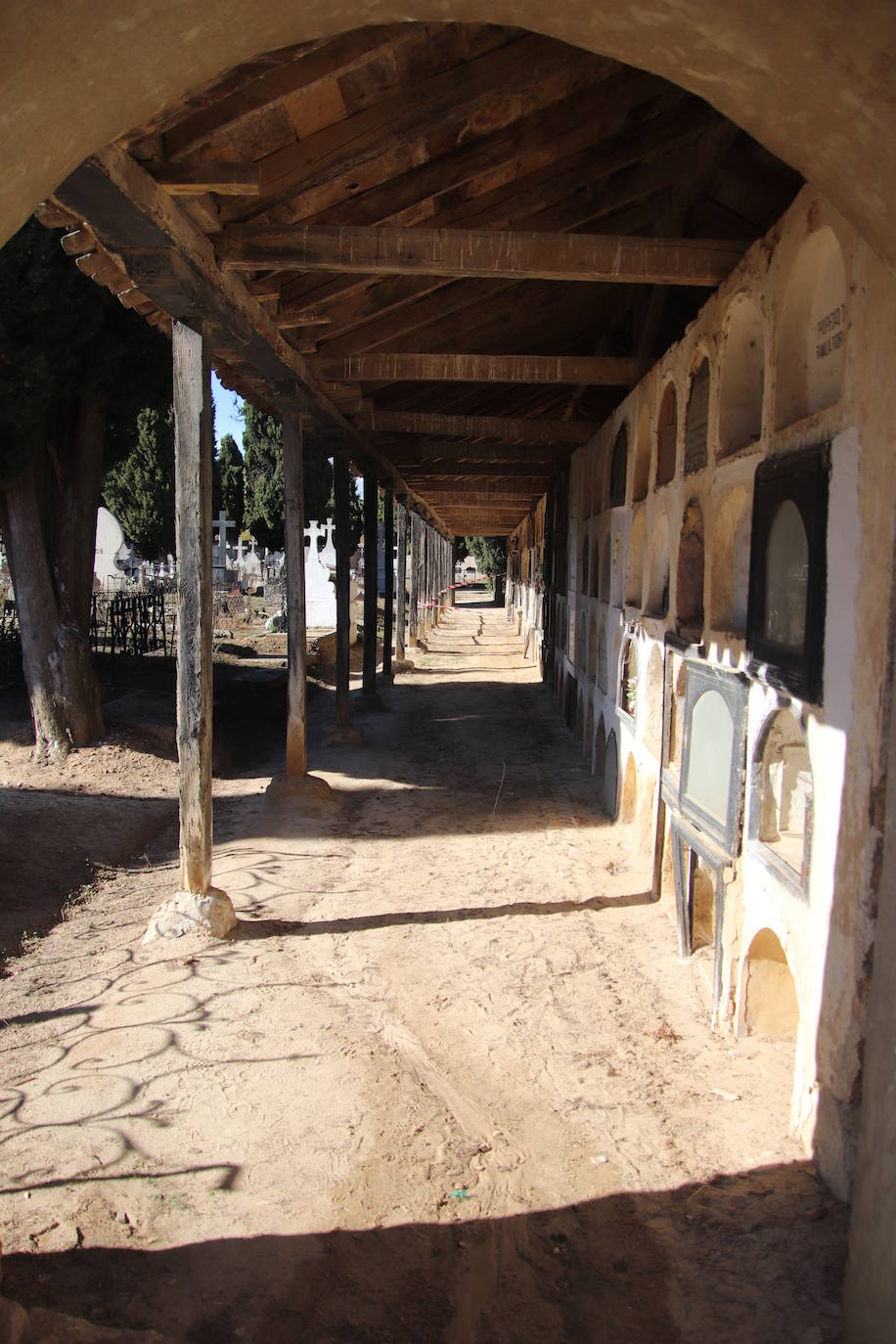 Fotos: El cardenal Carlos Amigo ofrece un responso en el cementerio de Medina de Rioseco