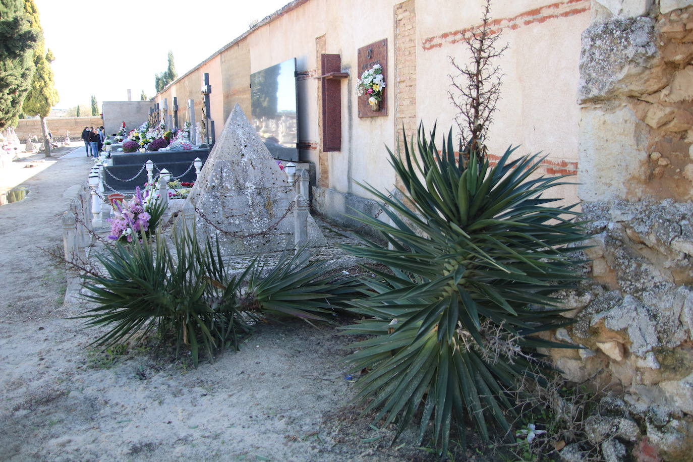 Fotos: El cardenal Carlos Amigo ofrece un responso en el cementerio de Medina de Rioseco