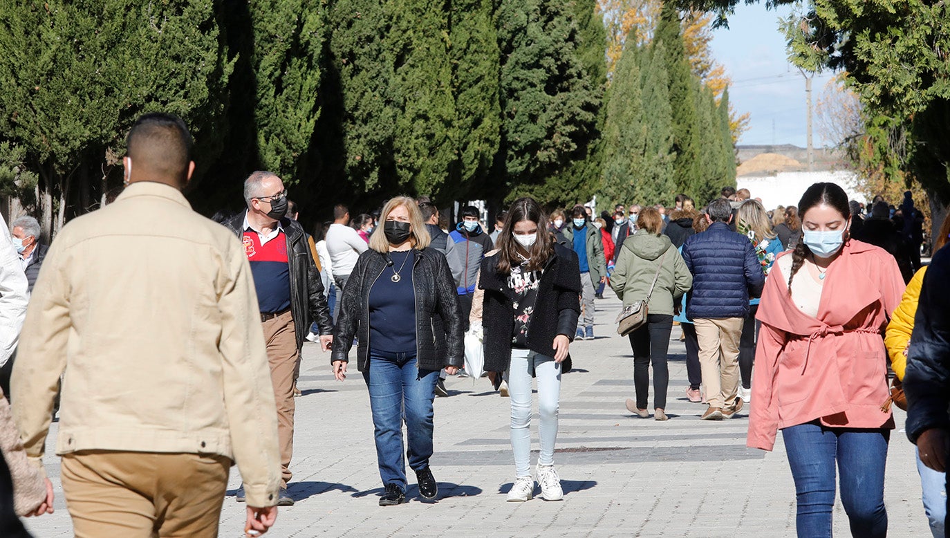 Día de Todos los Santos en Palencia