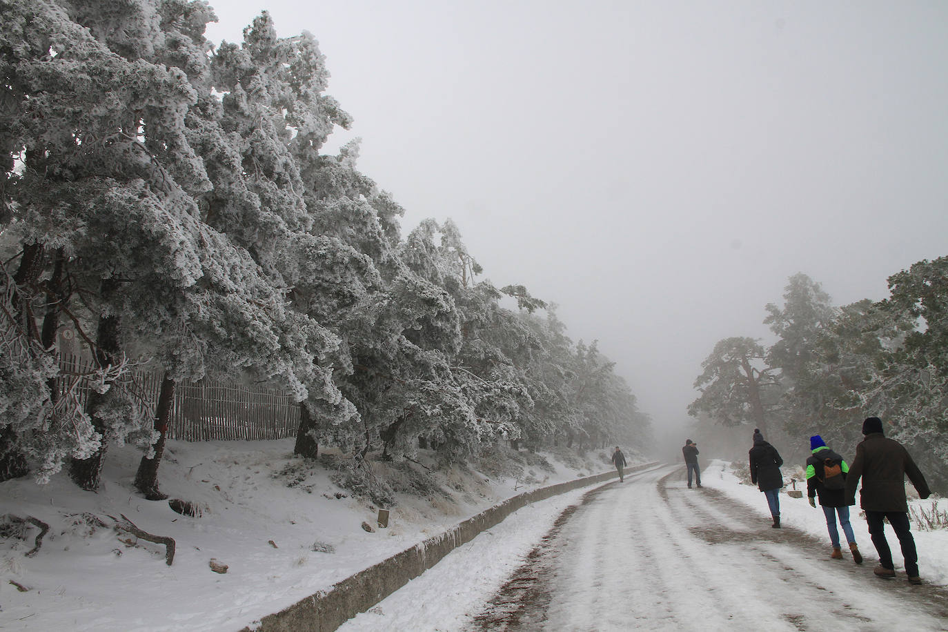 Turistas se hacen fotos en Navacerrada este sábado con las primera nevada. 