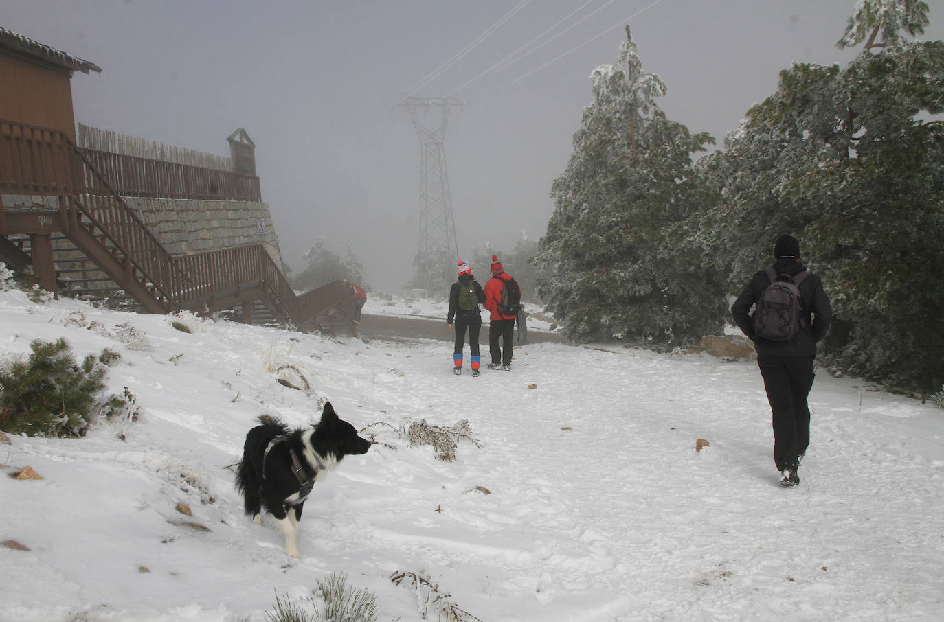 Turistas se hacen fotos en Navacerrada este sábado con las primera nevada. 