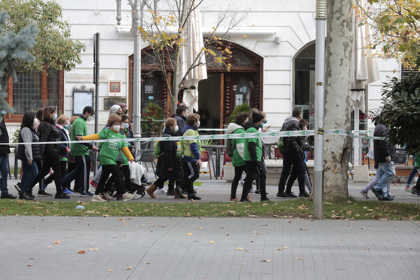 Fotos: Marcha contra el Cáncer en Valladolid (5)