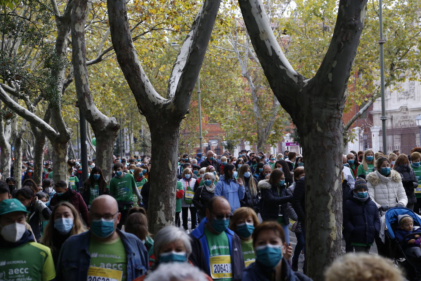 Fotos: Marcha contra el Cáncer en Valladolid (7)