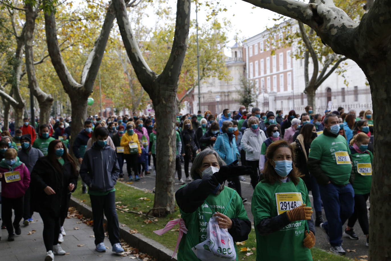 Fotos: Marcha contra el Cáncer en Valladolid (7)