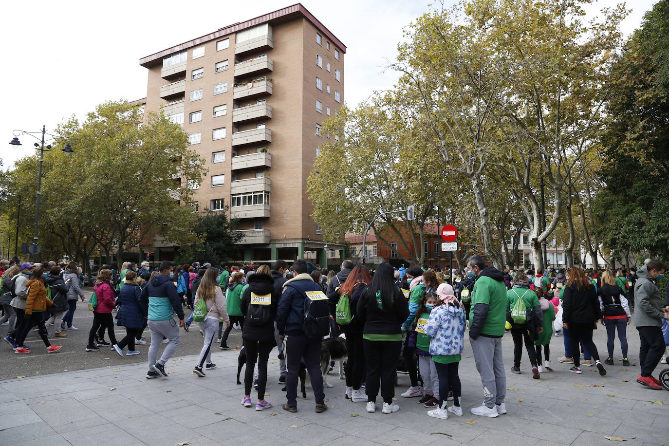 Fotos: Marcha contra el Cáncer en Valladolid (7)