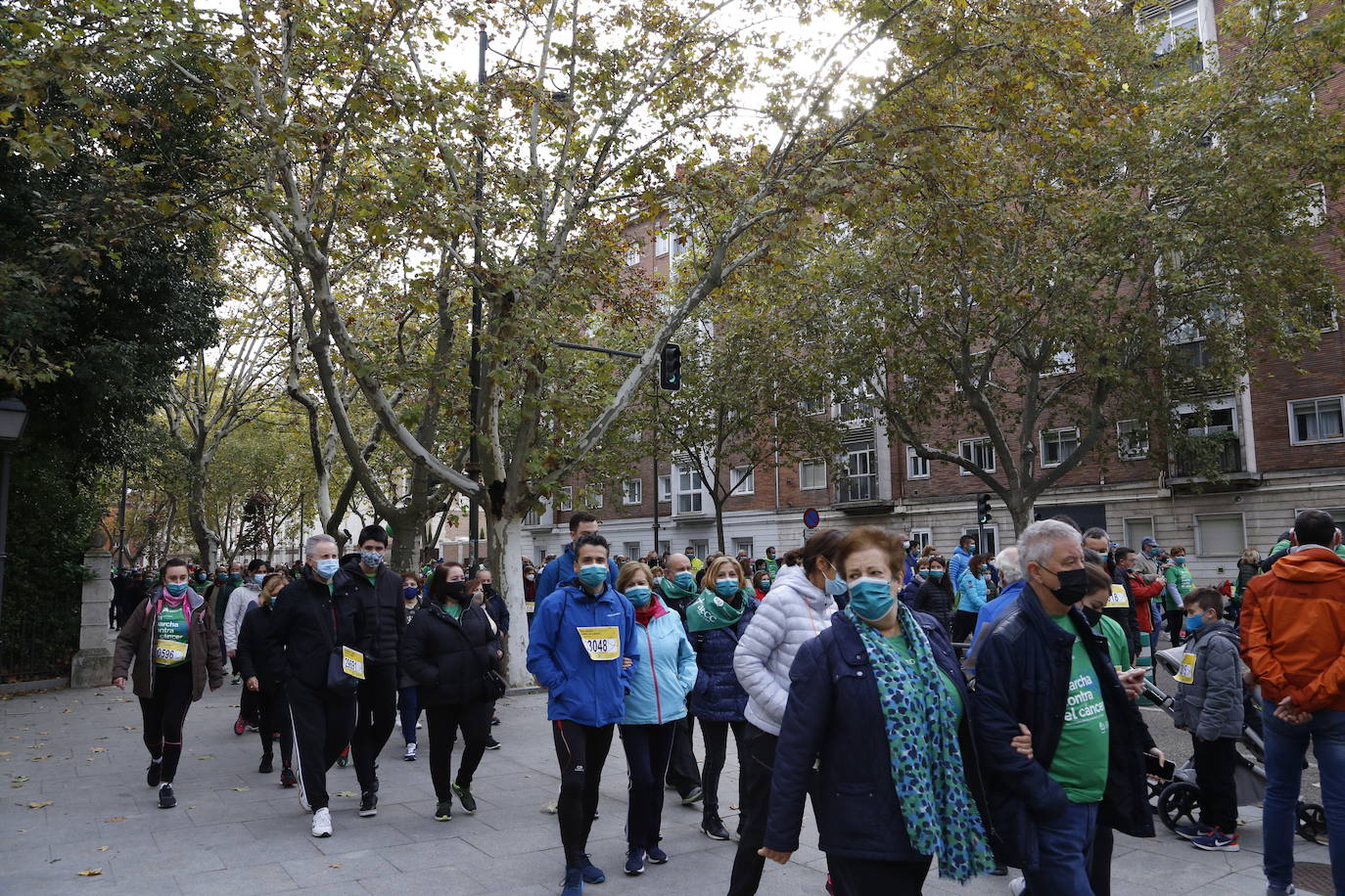 Fotos: Marcha contra el Cáncer en Valladolid (7)