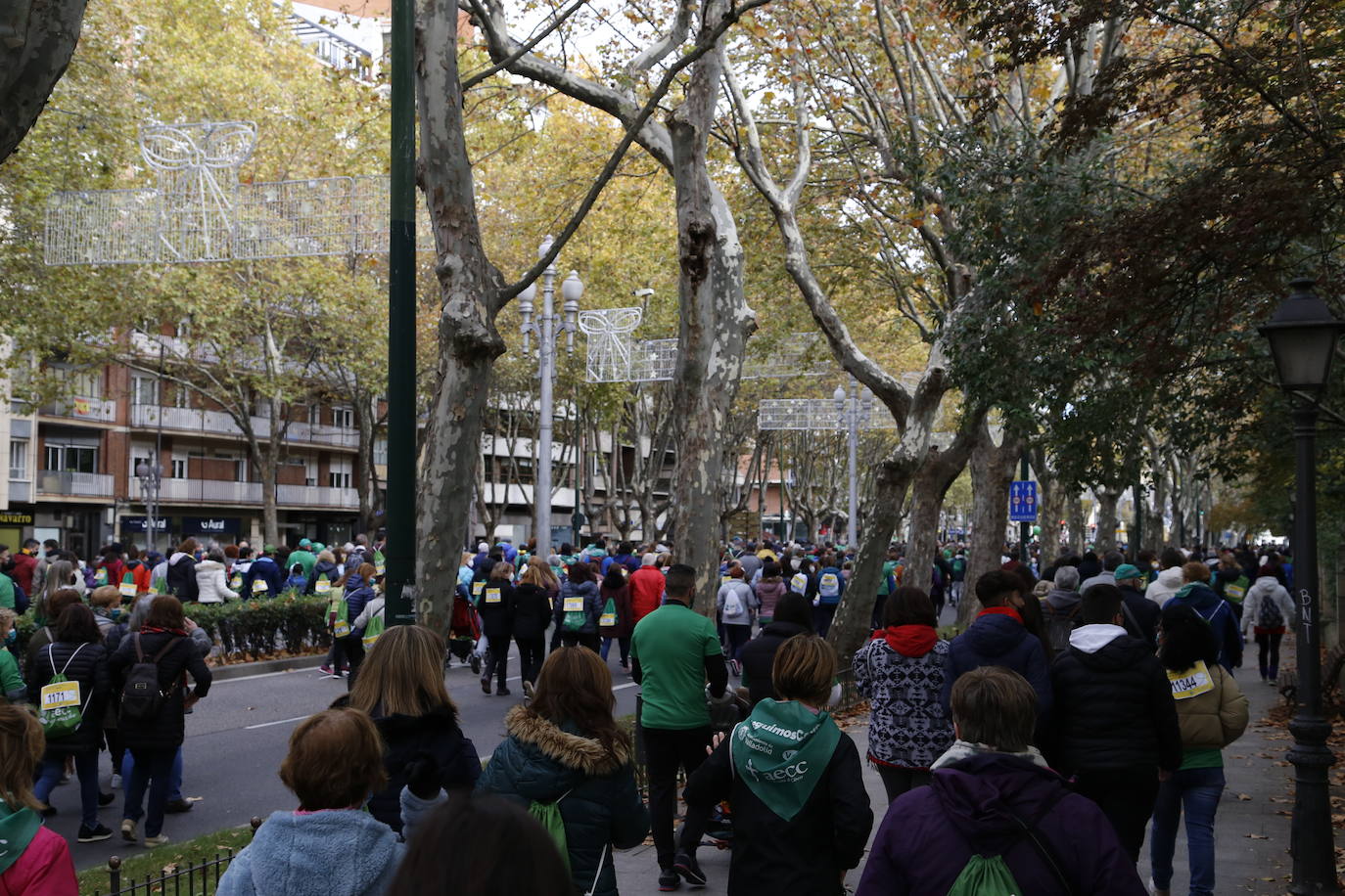 Fotos: Marcha contra el Cáncer en Valladolid (7)