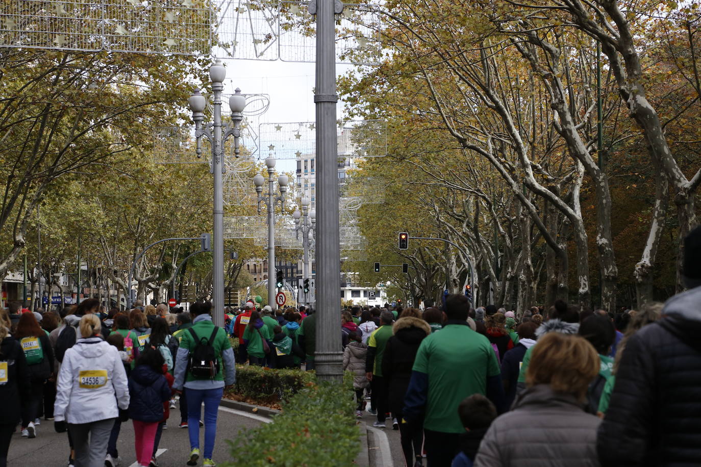 Fotos: Marcha contra el Cáncer en Valladolid (7)