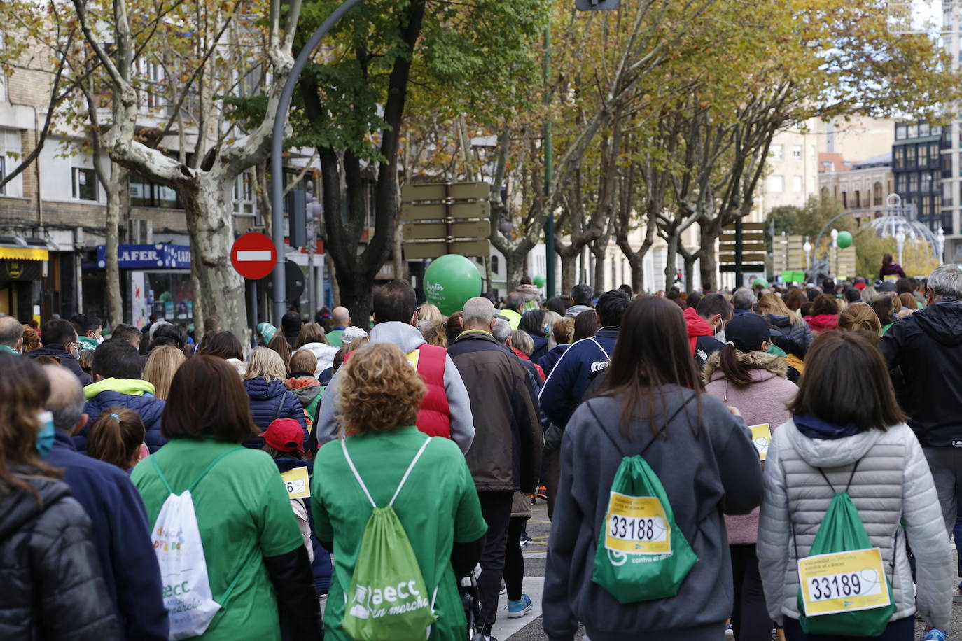 Fotos: Marcha contra el Cáncer en Valladolid (7)