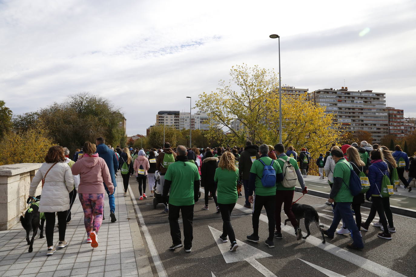 Fotos: Marcha contra el Cáncer en Valladolid (7)