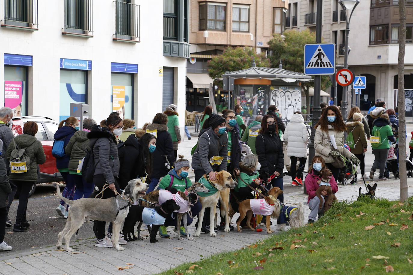 Fotos: Marcha contra el Cáncer en Valladolid (9)