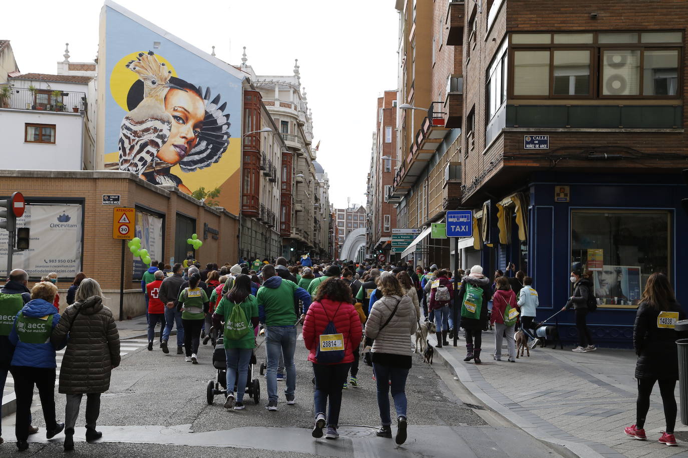 Fotos: Marcha contra el Cáncer en Valladolid (9)