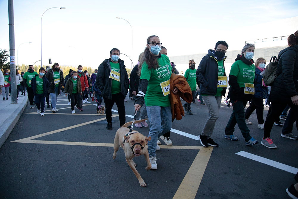 Miles de personas partieron desde el parque Elio Antonio de Nebrija en el regreso de la Marcha Salamanca Contra el Cáncer