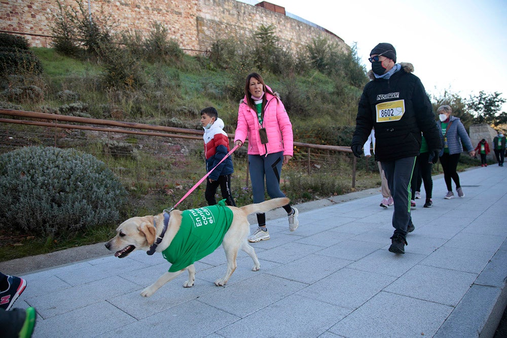 Miles de personas partieron desde el parque Elio Antonio de Nebrija en el regreso de la Marcha Salamanca Contra el Cáncer