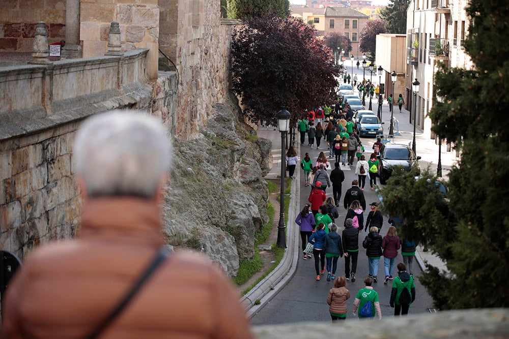 Miles de personas partieron desde el parque Elio Antonio de Nebrija en el regreso de la Marcha Salamanca Contra el Cáncer